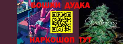 индика Балахна