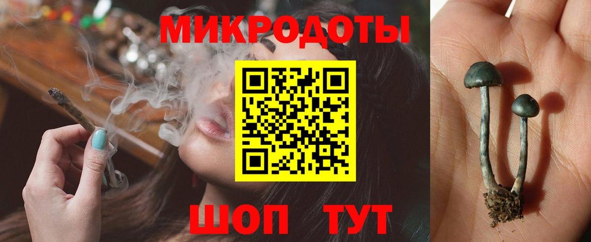 Гурьевск  Псилоцибиновые грибы прущие грибы  Псилоцибиновые грибы прущие грибы  Вход с VPN 